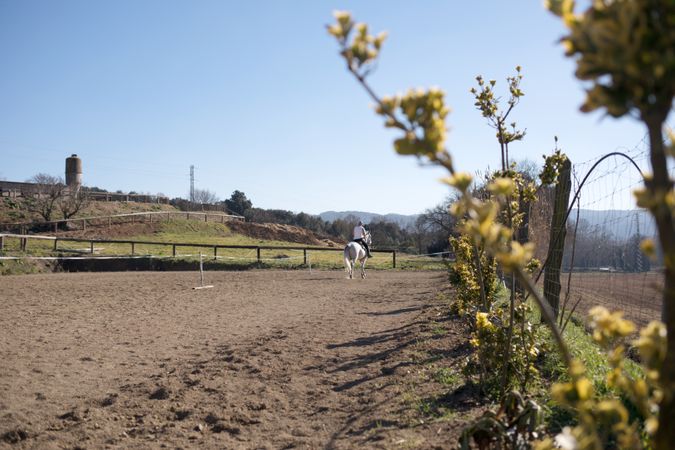 Man in casual outfit riding horse on sandy ground