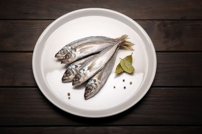 Fresh mackerel fish on plate ready to cook. Raw seafood