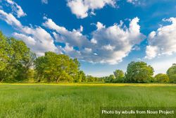 Field surrounded with trees and clouds in the sky bYpgG4