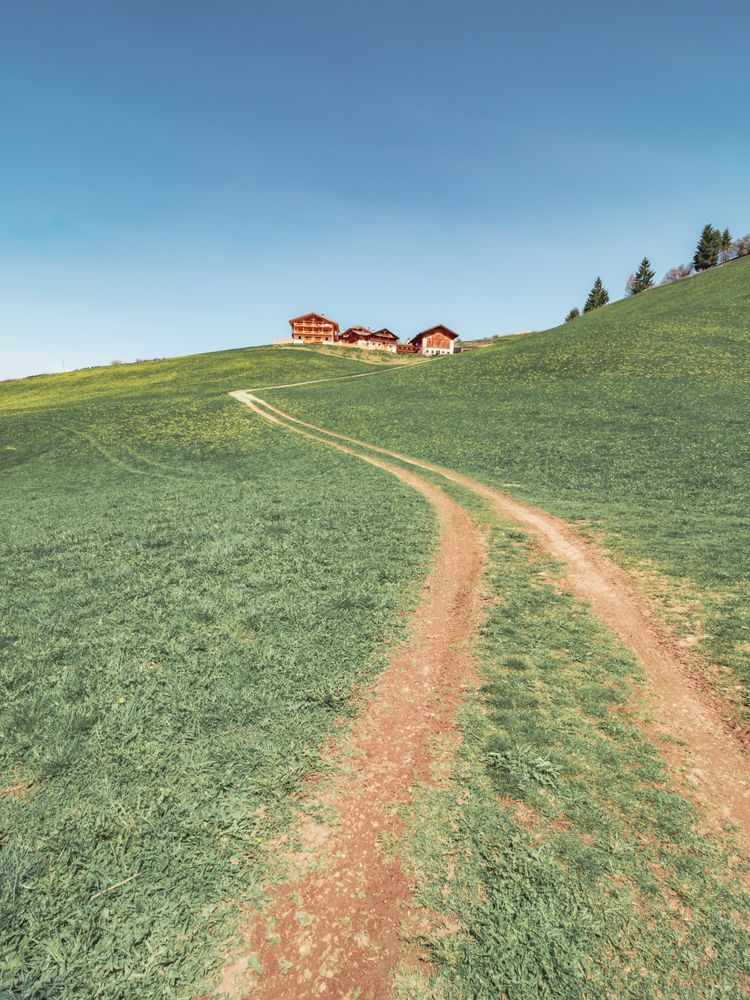 Countryside road running between green field near forest to small village