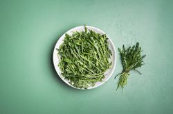 Arugula salad and arugula bundle on green table