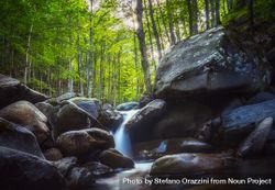 Abetone, stream waterfall inside a forest, Apennines, Tuscany, Italy bGRvvX