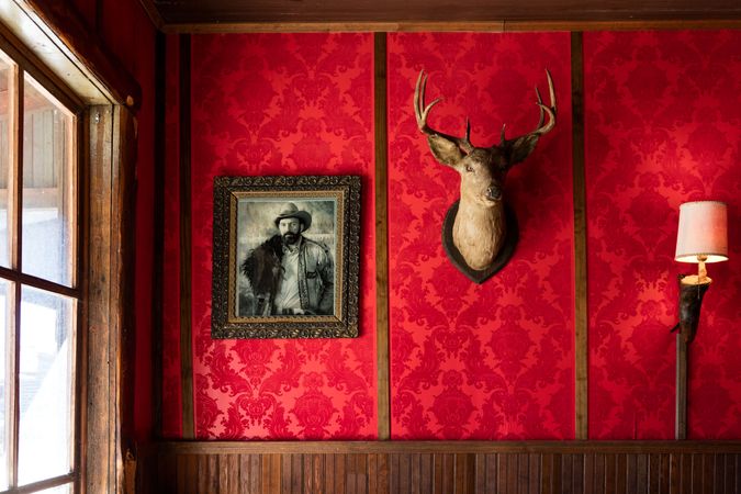 Mounted deer head and old western portrait on red wall, by window, Old Trail Town, in Cody, Wyoming