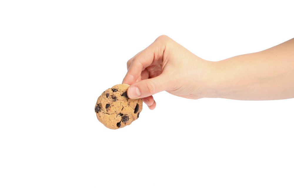 Woman holding tasty chocolate chip cookie on blank background, closeup