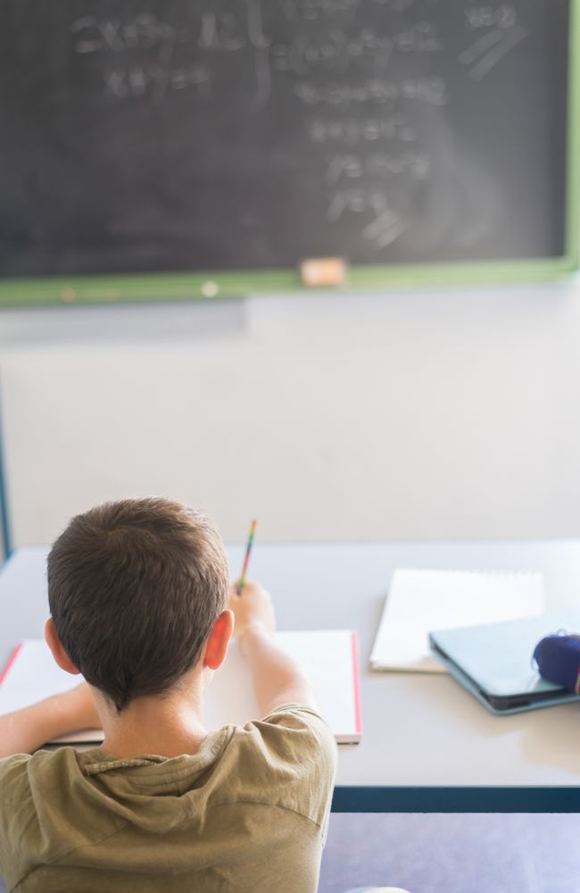 Back of male student sitting in class
