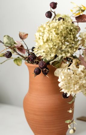 Dried flowers, educational still life for drawing.