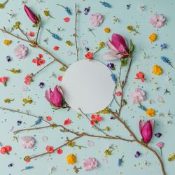 Pattern made of colorful spring flowers on blue background