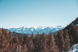 Picturesque view of mountains with forest in snow