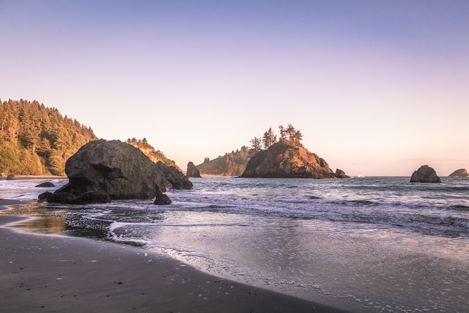 Trees, cliffs and rock boulders in dawn or dusk at the beach