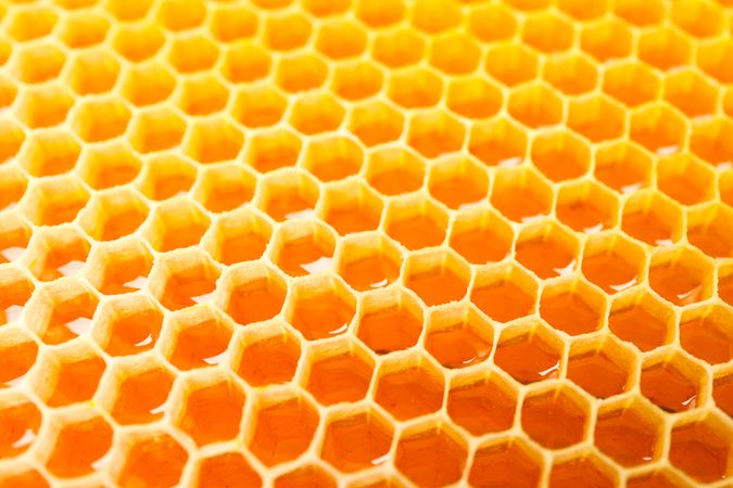 Honeycombs with sweet golden honey on whole background, close up