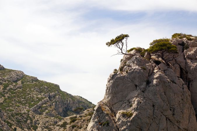 Mountain landscape with rocks and tree