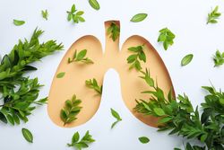 Paper lung shape in beige surrounded by green foliage