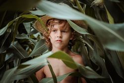 Calm boy in hat among green leaves