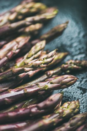 Close up of purple asparagus tips against blue background, vertical composition