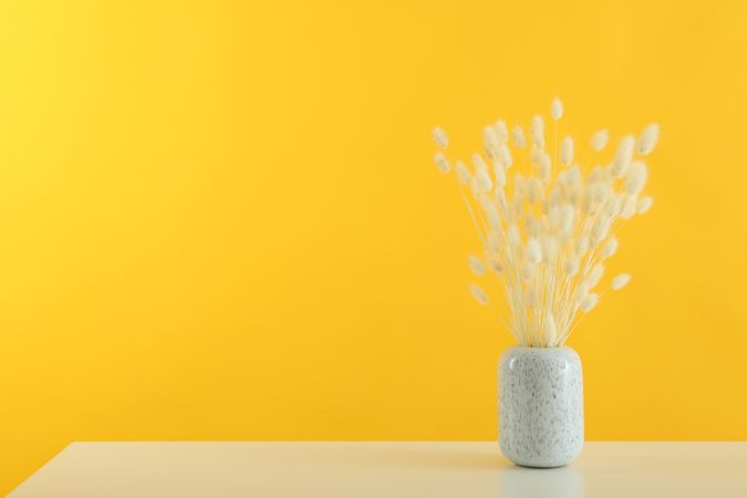 Speckled vase filled with dried bunny tail flowers in yellow room with copy space