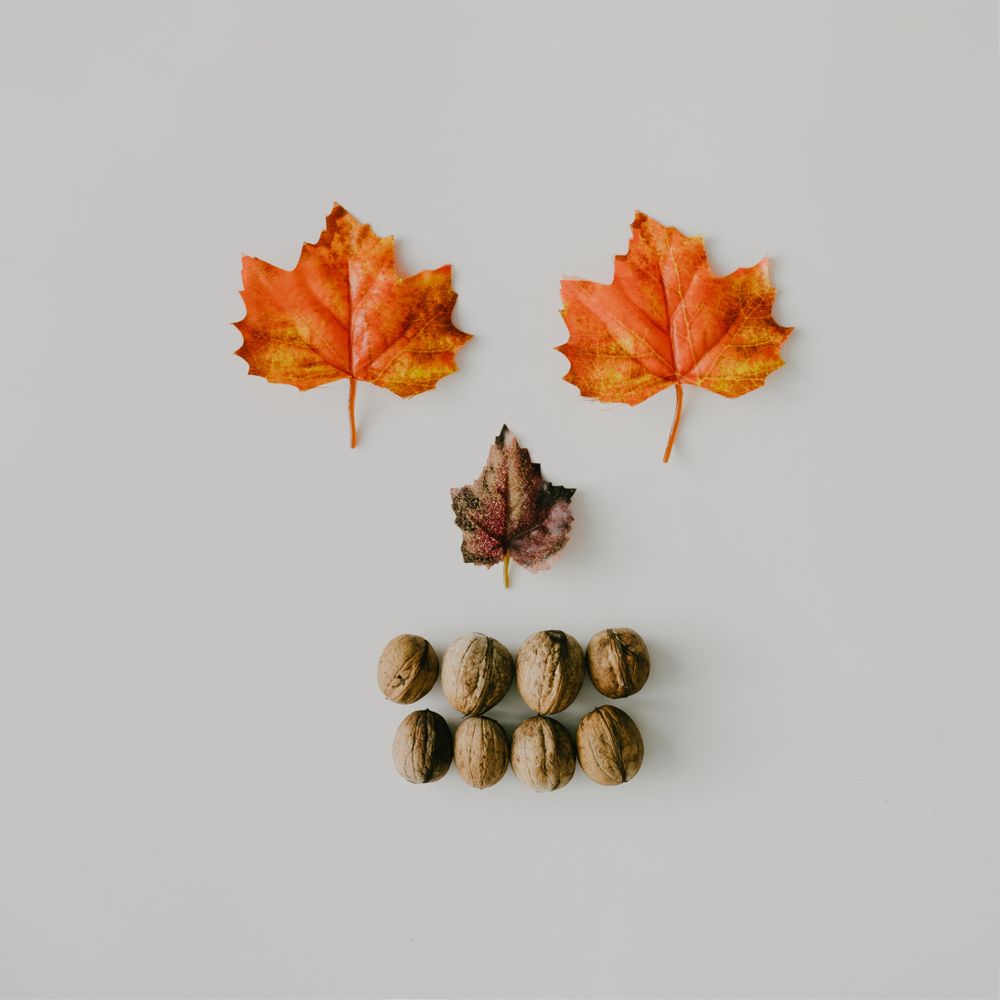 Autumnal leaves and nuts making skeleton face on light background