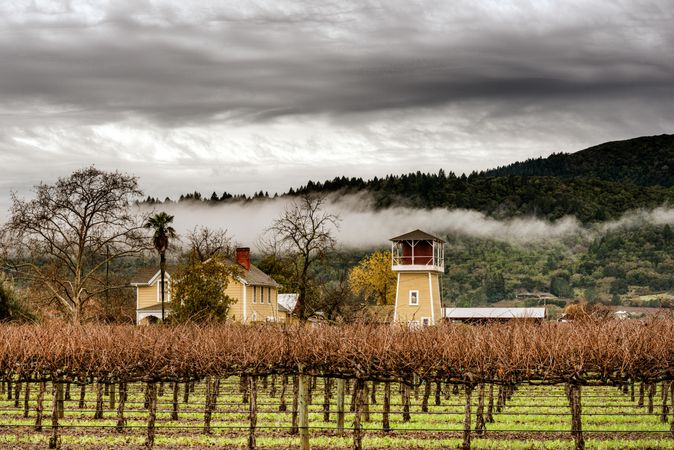 Napa Valley home with vineyards on a cloudy gray day