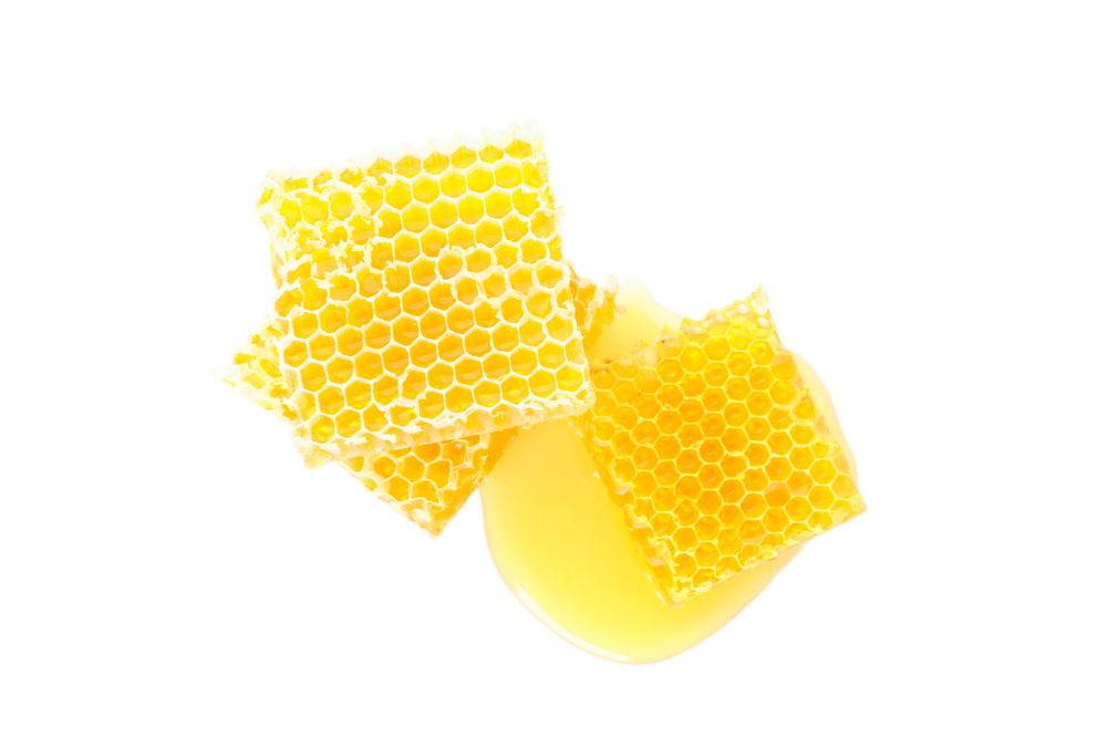 Pieces of honeycomb isolated on plain background, top view