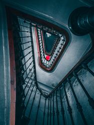 staring up the stairwell