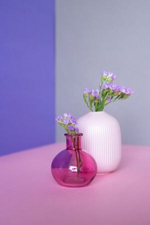 Violet sea lavender flowers in a multicolor background