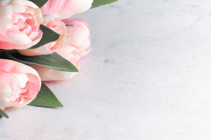 Mother's Day Bouquet With Copy Space