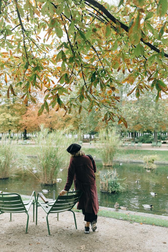 Back view of woman in red coat with dark hat standing beside river under a tree in Paris, France