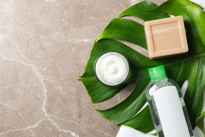 Palm leaf, cream, soap, shampoo and towel, space for text