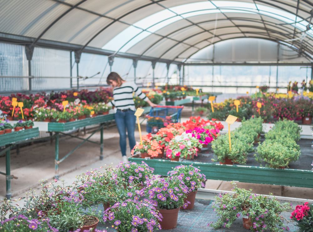 Female customer with cart on flower market
