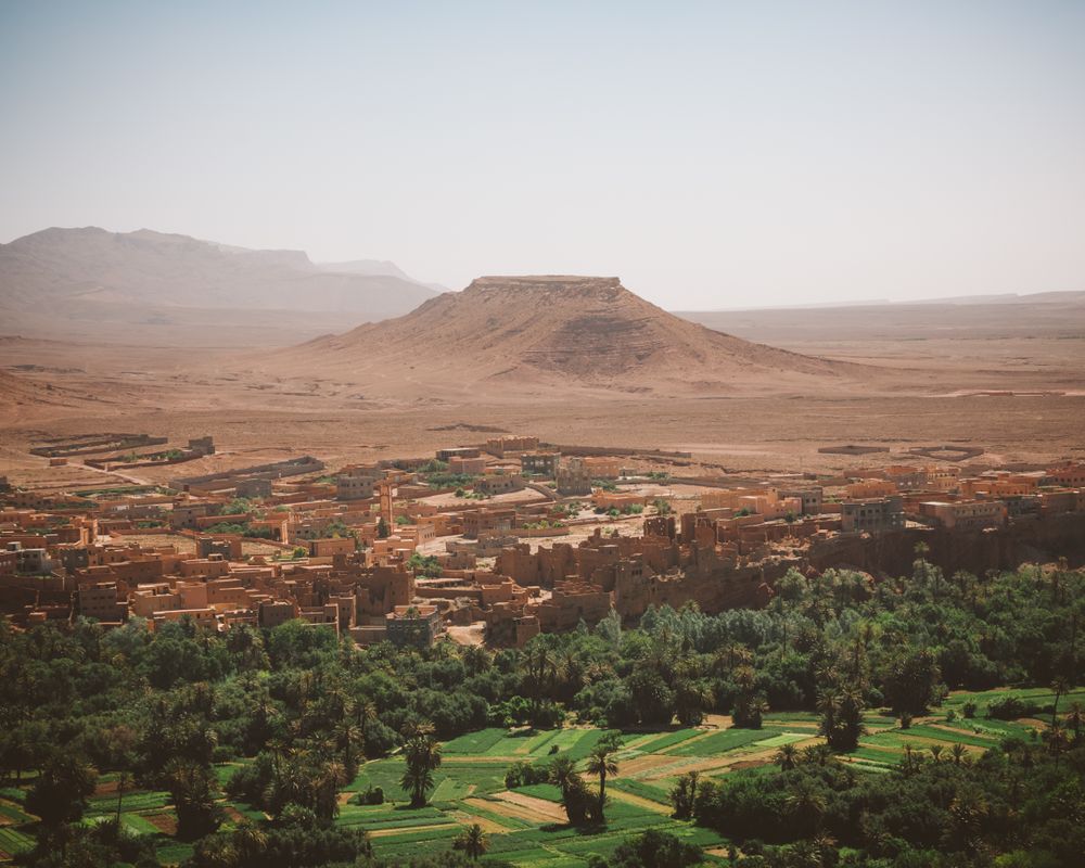 Panorama of green town in desert