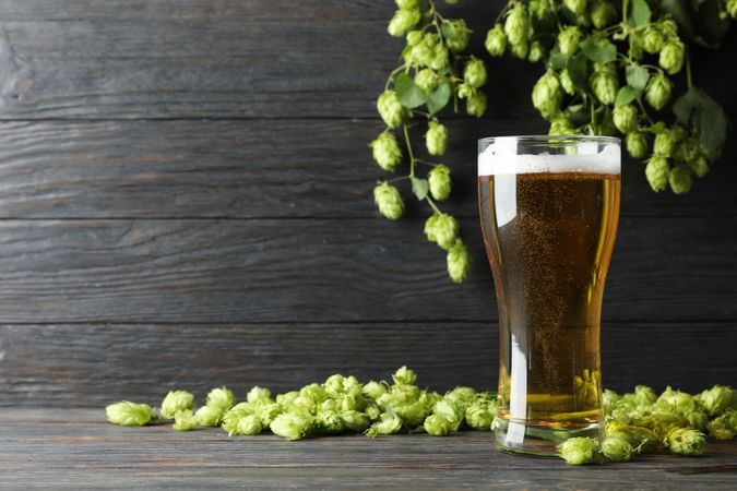 Mug with beer, spikelets and hop on wooden table, space for text
