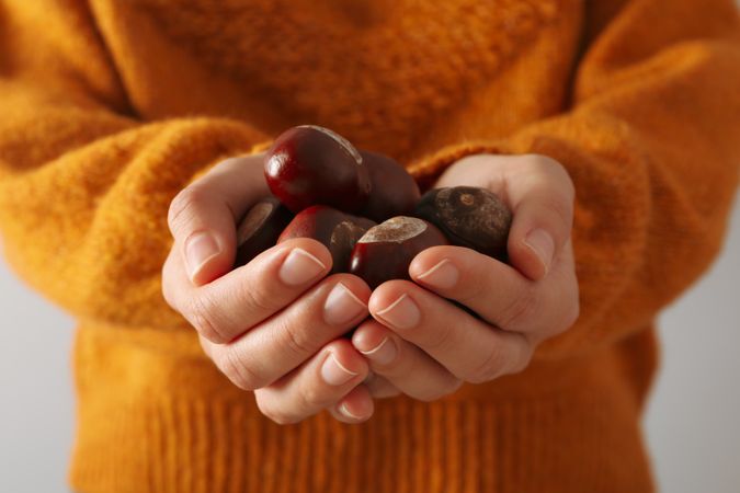 Fresh and ripe chestnuts, woman holds chestnuts