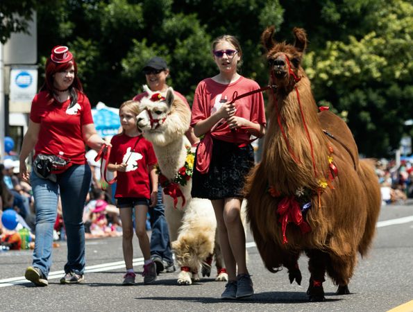 Llamas, their keepers, and children walk in the Fred Meyer Junior Parade, Portland, Oregon