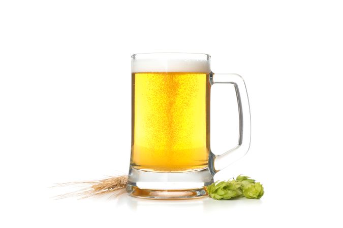 Beer glass, hop and spikelets isolated on blank background