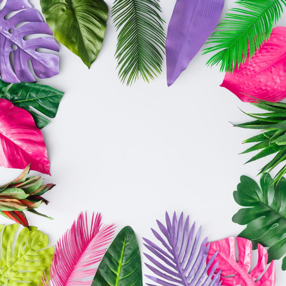 Multicolored tropical leaves on light background