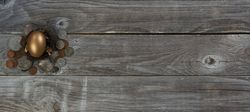Golden Egg and coins on fading wooden table