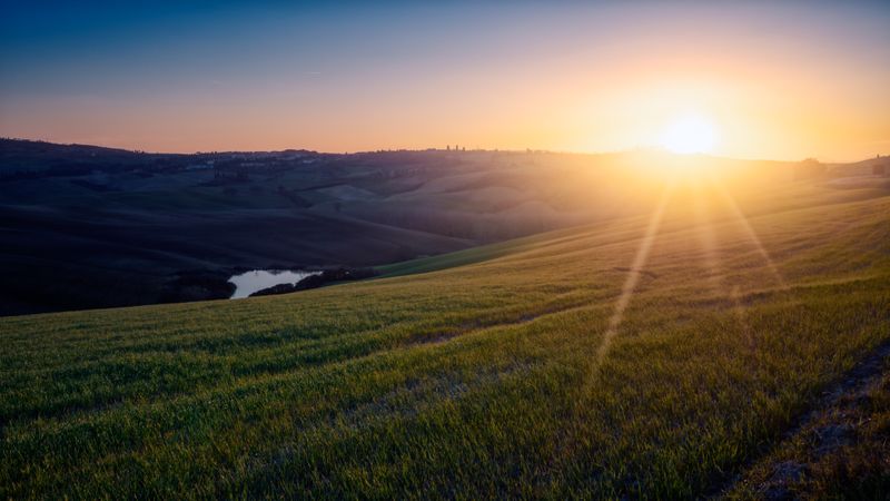 Wonderful empty green fields