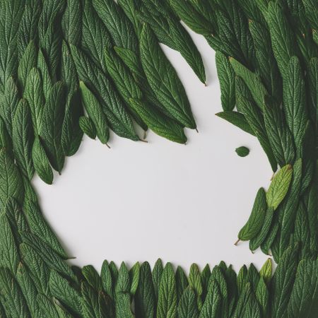 Easter bunny made of green leaves