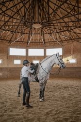 Rider with dapple gray horse in round arena