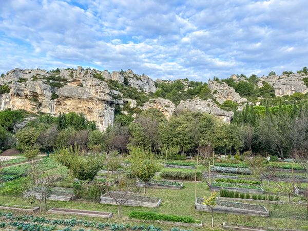Herb and vegetable garden in Les Baux-de-Provence