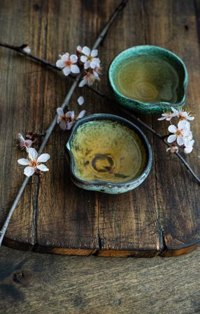 Green tea in cups and blooming peach tree branch garnish