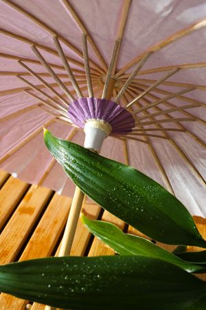 Traditional japanese umbrella, traditional japanese accessories concept