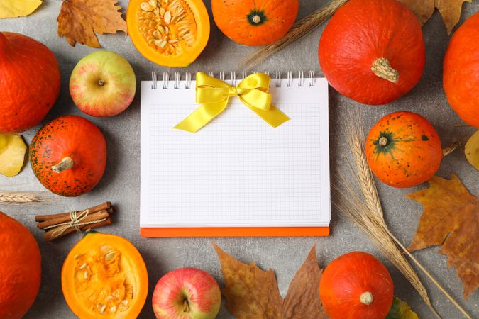 Composition with pumpkins and copybook on grey background, space for text