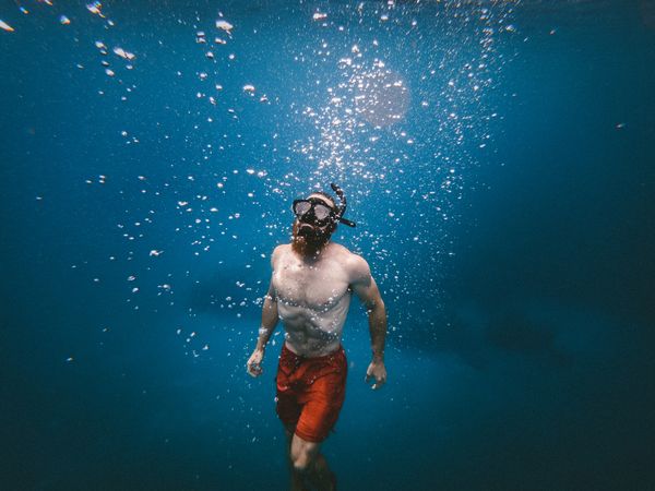 Underwater shot of man diving and snorkeling