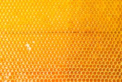 Honeycombs with sweet golden honey on whole background, close up