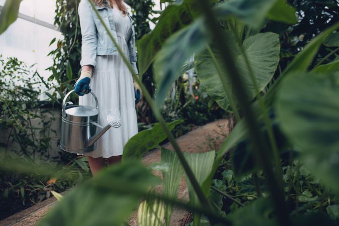 Cropped shot of a woman standing with watering can greenhouse