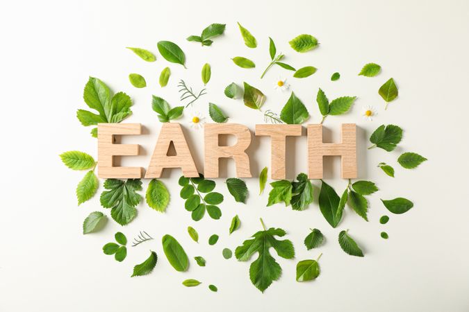 Inscription earth and greenery on light background, space for text. Environmental protection. Agriculture