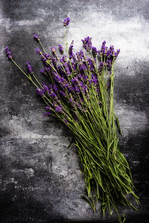 Bunch of lavender flowers on dark counter