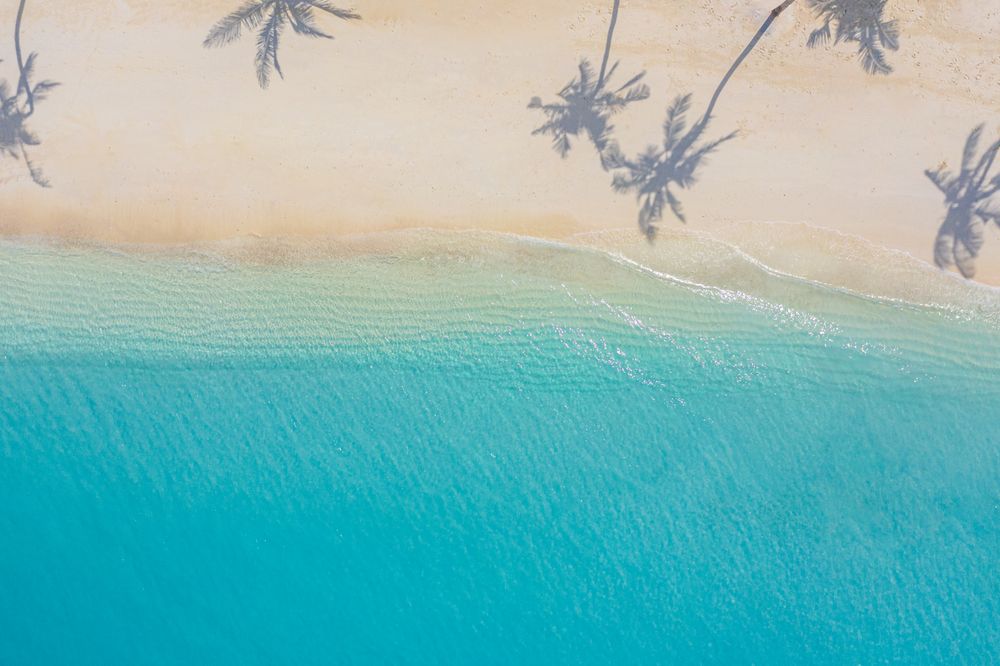 Aerial shot of palm tree shadows on a beach