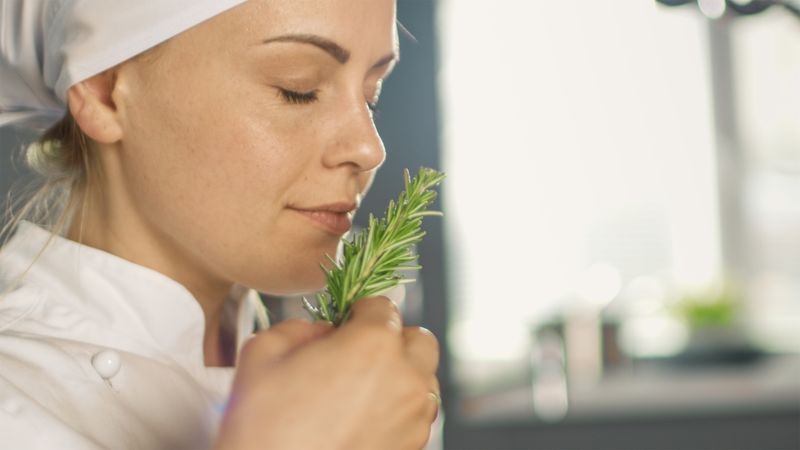 Young Female Chef Smells Decorative Spice Plant.