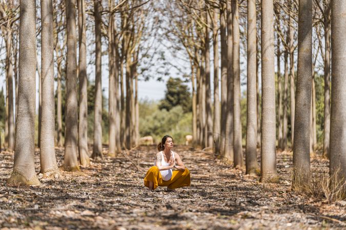 Calm adult pregnant woman practicing yoga while sitting in pose lotus on ground in park during sunny day